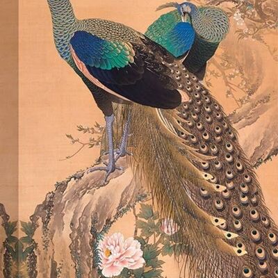 Marco japonés, impresión sobre lienzo: Imao KeinenImao Keinen, Pareja de pavos reales en primavera