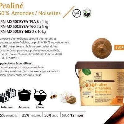 CACAO BARRY - PRALINE CARAMELLATE MANDORLE NOCCIOLE 50% secchiello 10kg