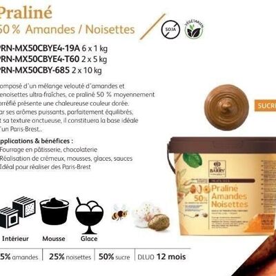 CACAO BARRY - KARAMELISIERTE PRALINE MANDEL HASELNÜSSE 50% Eimer 10kg