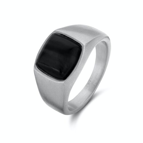 Frank 1967 steel with black agate ring ips brushed