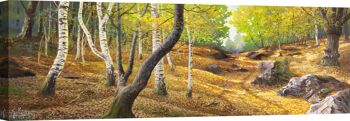 Image avec paysage, impression sur toile : Adriano Galasso, Chemin dans les bois 1