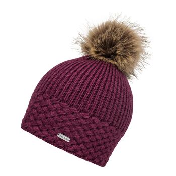 Chapeau d'hiver (chapeau à pompon) Apple Hat 4