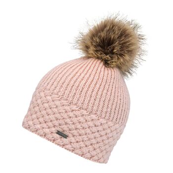 Chapeau d'hiver (chapeau à pompon) Apple Hat 5