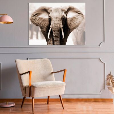 Quadro fotografico, stampa su tela: Elefante africano