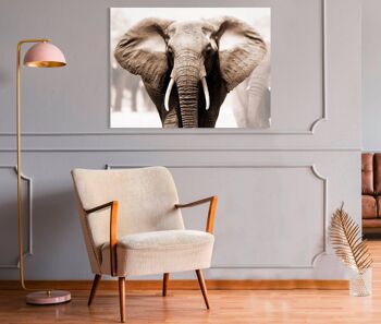 Photo Photo, Impression sur Toile: Éléphant d'Afrique 2