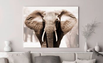Photo Photo, Impression sur Toile: Éléphant d'Afrique 3