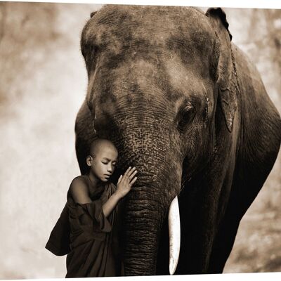 Art Photography Canvas Print: Marc Moreau, Healing Embrace
