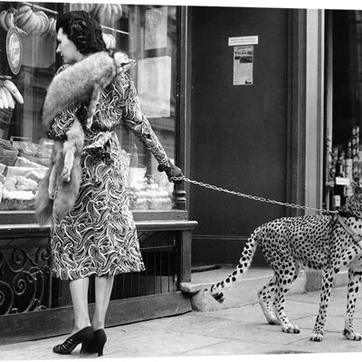 Framework with vintage photography, print on canvas: Elegant woman with cheetah