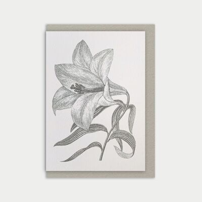 Condolence card / lily / natural paper