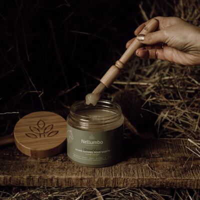 Bamboo brush for applying ointments