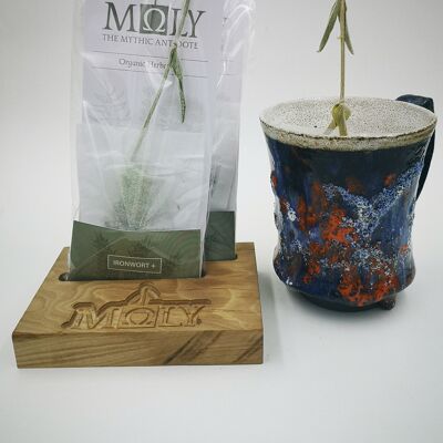 HERBAL TEA, 'Sage', In separate bag/Out of box/Only for HO.RE.CA.