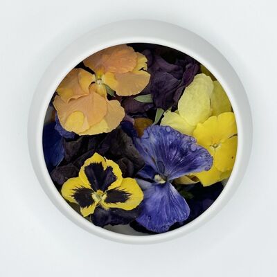 BULK Essbare Blumen - Stiefmütterchen - limitierte Frühlingsedition - 15 g