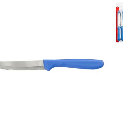 Blister 6 coltelli tavola Color Knife blu