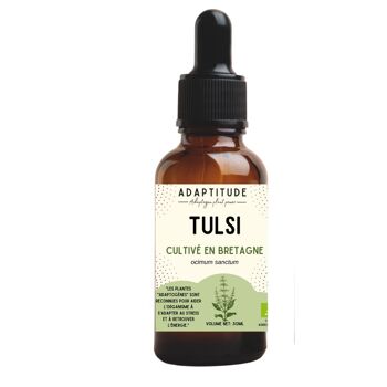 Extrait de tulsi bio (50ml) 1