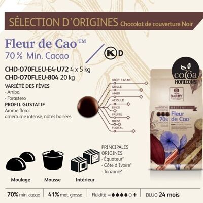 CACAO BARRY - CAO FLOWER (70% cocoa) - PISTOLES - 20kg