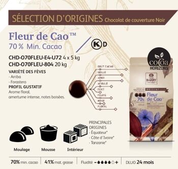 CACAO BARRY - FLEUR DE CAO (cacao 70 %)-  PISTOLES - 20kg 1