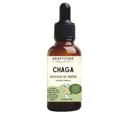 Extracto de Chaga (50ml)