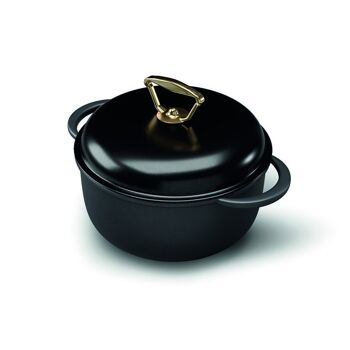 Casserole 28 cm 2mgl INDUCTION fonte h. 10 cm + COUVERCLE EN VERRE NOIR
 + ARMOR + Bouton plaqué or 24 carats 1