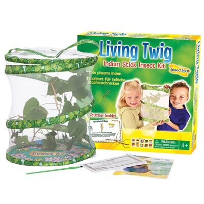 Kit de insecto palo Living Twig