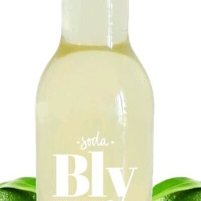 Soda BLY - Limette - Packung mit 12 Flaschen à 33 cl