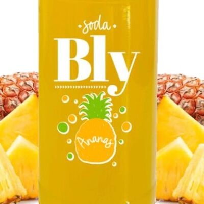 Soda BLY - Ananas - Packung mit 12 Flaschen à 33 cl