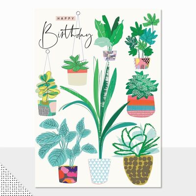 Carte d'anniversaire de plantes d'intérieur – Rio Brights Joyeux anniversaire (plantes d'intérieur)