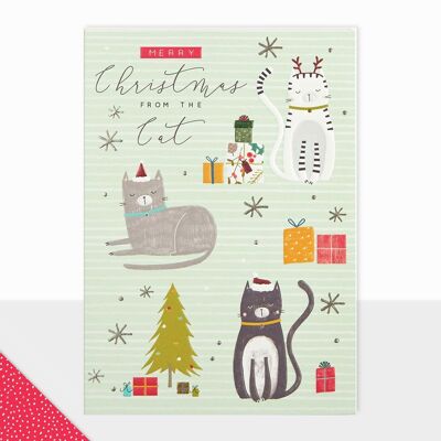 Weihnachtskarte von der Katze – Halcyon Christmas Cat