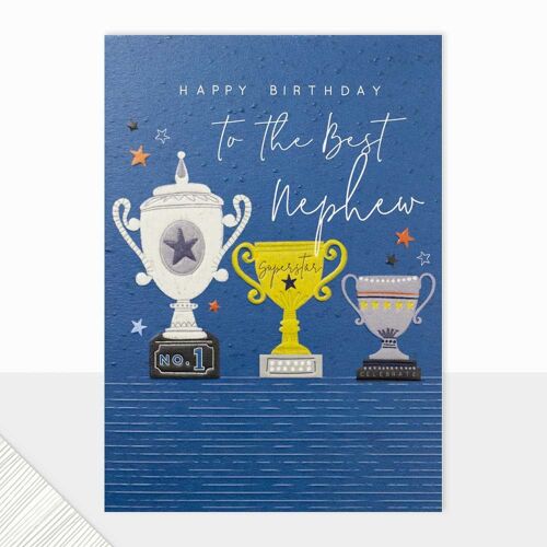 Nephew Birthday Card - Halcyon Best Nephew