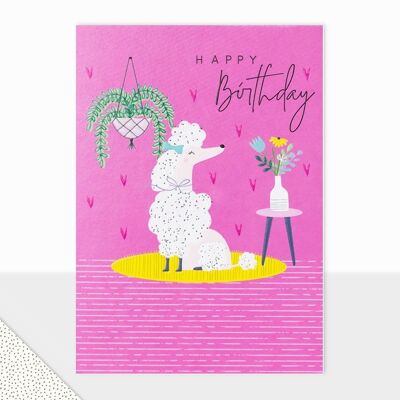 Halcyon Collection - Happy Birthday Card - Happy Birthday Poodle