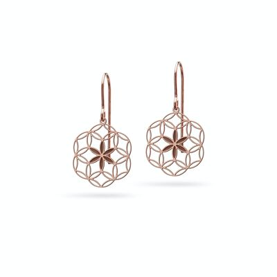 Boucles d'oreilles "Graine de Vie" | Bronze