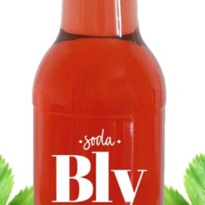 Soda BLY - Fragola - Confezione da 12 bottiglie da 33 cl