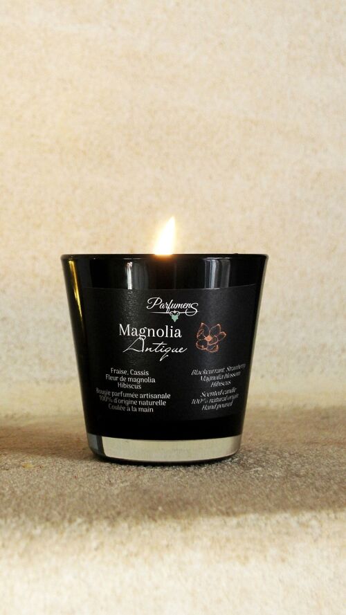 Magnolia Antique - Bougie parfumée - Pack de 6