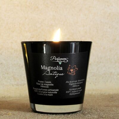 Magnolia Antique - Vela Perfumada - Paquete de 6