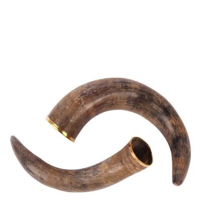 Deco horn 30 cm