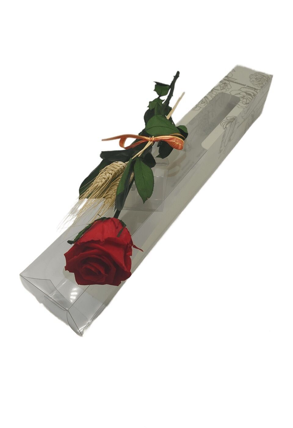 STELO ROSA STABILIZZATA SANT JORDI ROSSO VIBRANTE