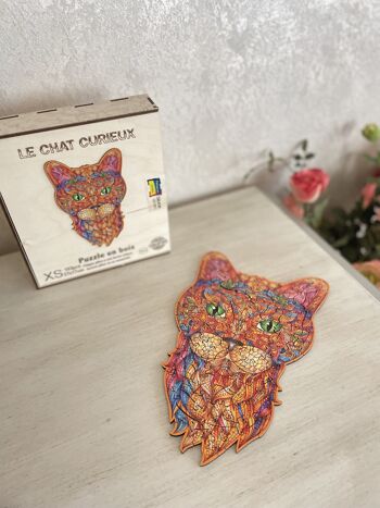 Créatif wood - Le Chat Curieux