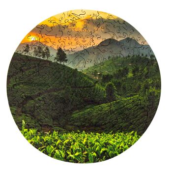 CreatifWood - Le champ de thé 1