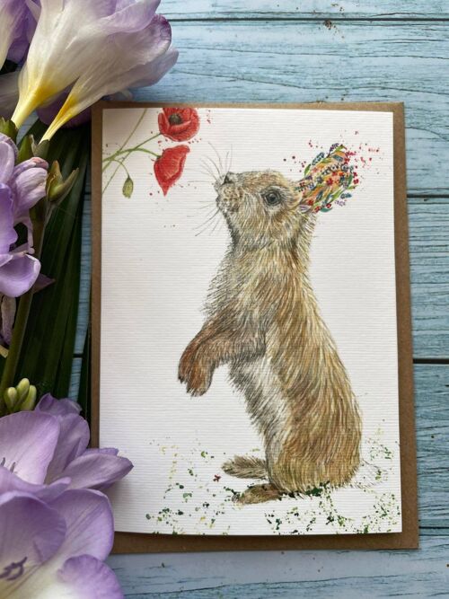 Rosetta The Rabbit Eco Card | Blank Cute Colourful Art