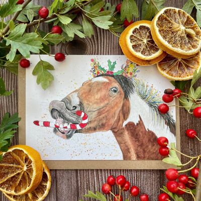 Christmas Horse Funny Eco Friendly Card Colourful Blank