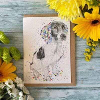 Spaniel | Eco Friendly Card Colourful Greetings Blank Dog
