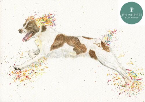 Spring the Spaniel Signed Watercolour Art Dog Print