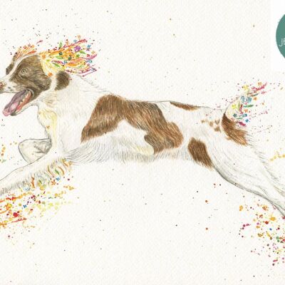 Spring the Spaniel ha firmato la stampa del cane di arte dell'acquerello
