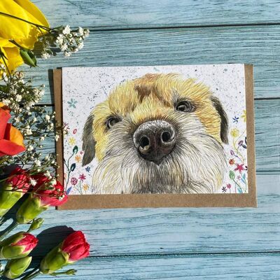 Tilly il Border Terrier Eco Friendly Animal Card Blank Dog