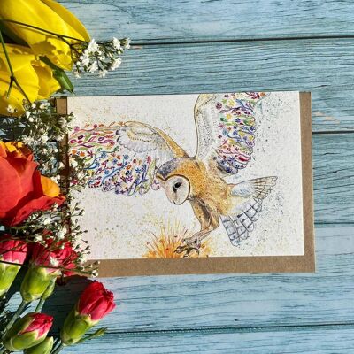 Barn Owl  Eco Friendly Card Colourful Greetings Nature Blank