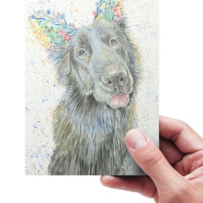 Alsation Dog Eco Friendly Card Saluti colorati Vuoto