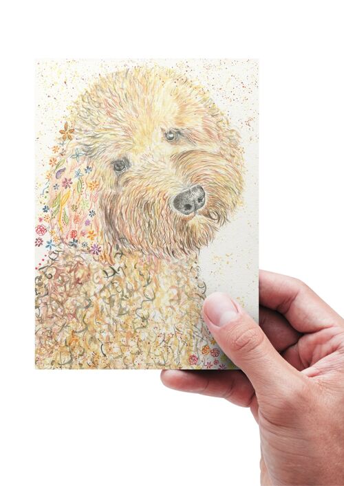 Red the Dog Eco Friendly Card Blank | Colourful | Cockerpoo