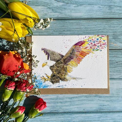 Eagle | Eco Friendly Card Colourful Greetings Blank Bird