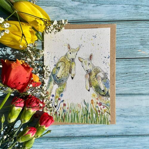 Lambs | Eco Friendly Card Colourful Greetings Blank Farm