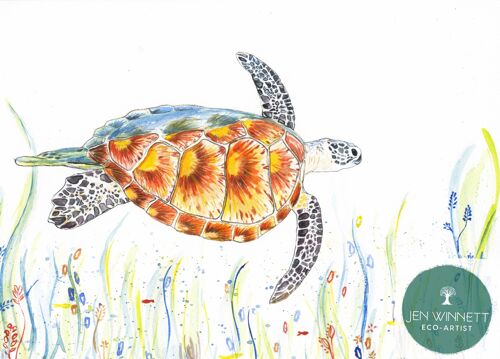 Tranquility the Turtle Signed Watercolour Art Animal Print