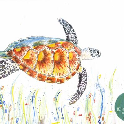 Tranquilidad la tortuga firmada acuarela arte Animal Print